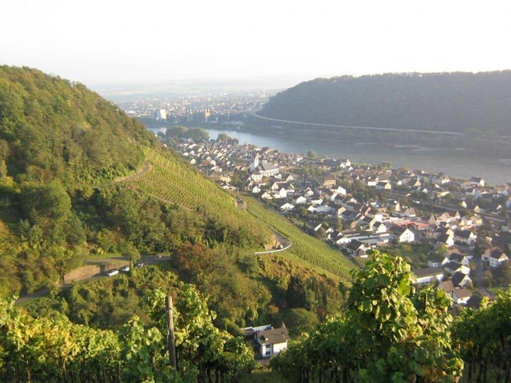 Hotel Am Martinsberg Andernach Bagian luar foto